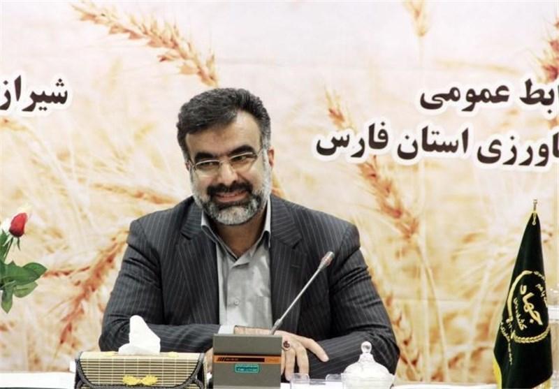 فارس رتبه نخست تولید محصولات باغی کشور فارس رتبه نخست فراوری محصولات باغی کشور
