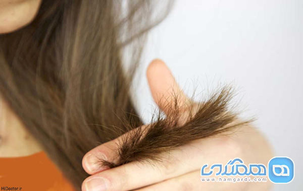 موخوره را بدون کوتاه کردن مو درمان کنید