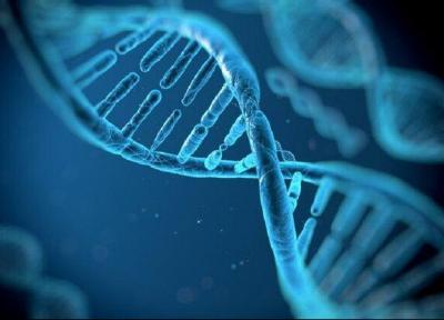 ژنها چه نقشی در تأثیرگذاری داروهای کرونا بازی می نمایند