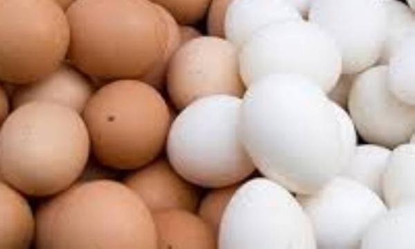 ماندگاری یا تاریخ مصرف تخم مرغ ، 1