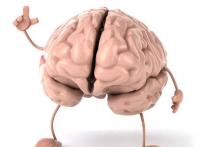 نیمکره راست مغز در برابر نیمکره چپ مغز