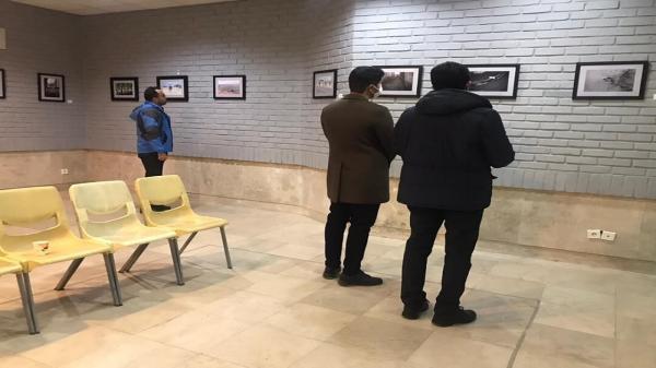 برپایی نمایشگاه گروهی عکس در تبریز