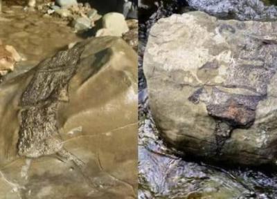 پیدا شدن بقایای موجودات غول پیکر باستانی پس از طوفان، عکس